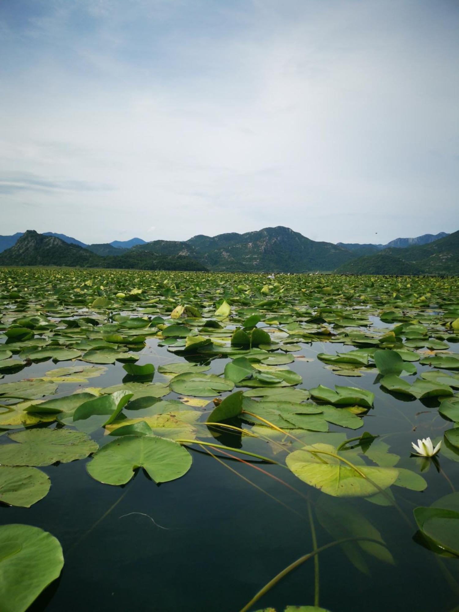 Apartment Dapcevic Skadar Lake Vranjina Экстерьер фото